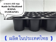 ถาดเพาะชำ 60 หลุม ( Made in Thailand )