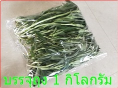 หญ้าปักกิ่ง (ใบสด ชั่งกิโลขาย) | น้าสมชาย - บางกรวย นนทบุรี