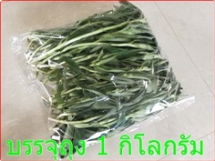 หญ้าปักกิ่ง (ใบสด ชั่งกิโลขาย)