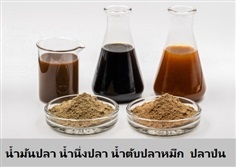 Fish oil น้ำมันปลาสำหรับผสมอาหารสุกร หรือผลิตอาหารสัตว์