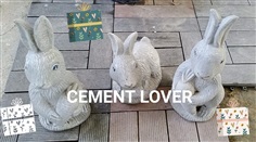 กระต่ายน้อย | CEMENT INDUSTRIAL - วัฒนา กรุงเทพมหานคร