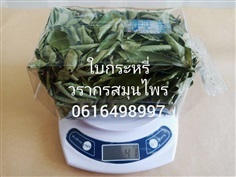 ใบกระหรี่ ใบหอมแขก Curry Leaf