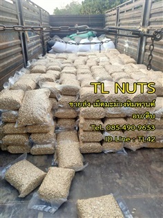 ขายส่ง เม็ดมะม่วงหิมพานต์  | TL NUTS - เมืองสุรินทร์ สุรินทร์