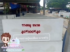 กระถางปูนเปลือยทรงรางหมู