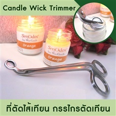 ที่ตัดไส้เทียน กรรไกรตัดไส้เทียน กรรไกรเล็มไส้เทียน 1ชิ้น | AromaTherapy - คันนายาว กรุงเทพมหานคร