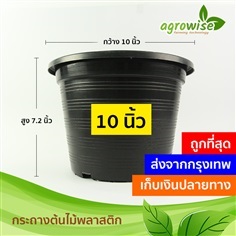 กระถางกลม สีดำ 10 นิ้ว