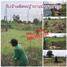 รับจ้างตัดหญ้าถางป่าราคาถูก | SKC Chonburi - เมืองชลบุรี ชลบุรี