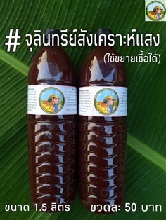 จุลินทรีย์สังเคราะห์แสง