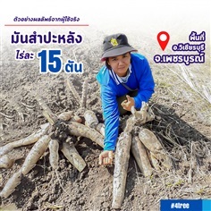 4Tree โฟร์ทรี สารเสริมประสิทธิภาพสูตรอิออน