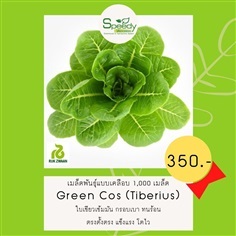 Green cos (Tiberius) กรีนคอส