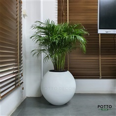 กระถางไฟเบอร์กลาสทรงกลมใหญ่ สีขาว | POTTO DECOR - ลำลูกกา ปทุมธานี