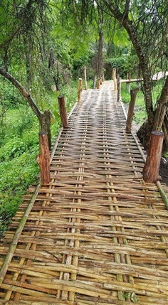 สะพานไม้ไผ่ ไม้ไผ่ขัดแตะ ทางเดินไม้ไผ่ ตรม.ละ 700 บาท