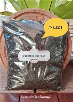 ดินปรุงสำเร็จสำหรับไม้กระถางขนาดเล็ก | Grandma Pot Plant -  กรุงเทพมหานคร