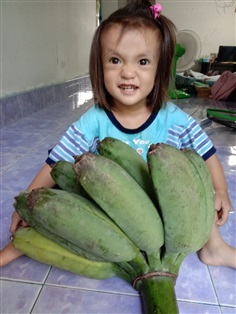 พันธุ์กล้วยทิพรส ส่งทั่วไทย