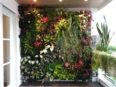 บริการจัดสวนแนวตั้ง Greenwall BKK