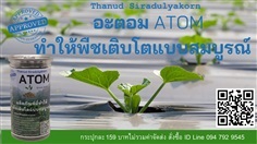 อะตอม (ATOM) อะมิโนแท่ง