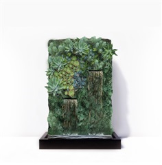 ม่านน้ำตกกำแพงหินพืชพันธุ์กระบองเพชร (แคคตัส) สำเร็จรูป | Naisuanshop -  นนทบุรี