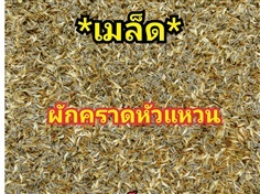 เมล็ดผักคราดหัวแหวน