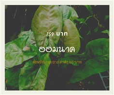 ออมนาค