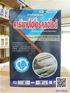 คาร์แทปไฮโดรคลอไรด์  50 %  SP