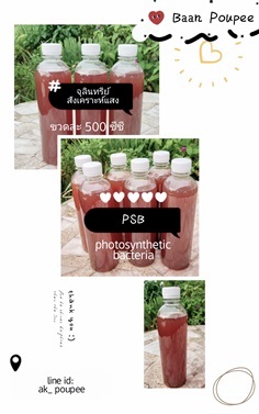 PSB: จุลินทรีย์สังเคราะห์แสงสีแดง ขนาด 500 ml