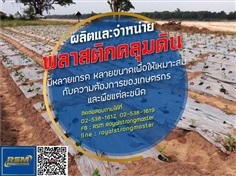 พลาสติกคลุมดิน พลาสติกปูรองพื้นคอนกรีต