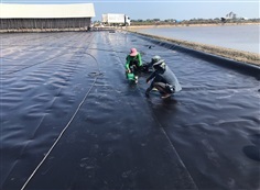 พลาสติกปูบ่อทำการประมง HDPE Geomembrane | Naisuanshop -  นนทบุรี