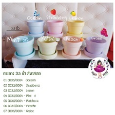 กระถาง3.5นิ้ว สีพาสเทล พร้อมถาด สี Mint