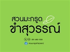 สวนมะกรูดขำสุวรรณ์ | สวนมะกรูดขำสุวรรณ์ - ตากฟ้า นครสวรรค์