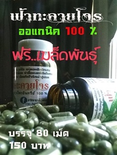 ฟ้าทะลายโจร ออแกนิค 100 เปอร์เซ็น | ชมรมผักพื้นบ้้าน - แก้งคร้อ ชัยภูมิ