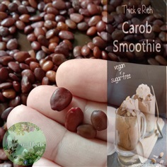 เมล็ด คารอป / carob  6เมล็ด 90บาท