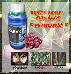 Kabax ยาฆ่าเชื้อราหอมแดง หอมแดงใบจุด ราน้ำค้าง ขนาด 500 ซีซี | ปุ๋ย ยา การันตี - วัฒนา กรุงเทพมหานคร