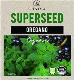 เมล็ด OREGANO (Organic) ออริกาโน ออร์แกนิค | บริษัท ชัยโยฟาร์ม จำกัด - บางแค กรุงเทพมหานคร