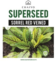 เมล็ด SORREL (Red Veined) ซอเรล