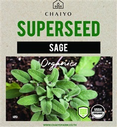เมล็ด Sage (Organic) เสธ ออร์แกนิค