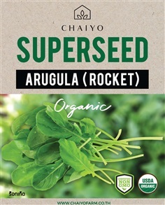 เมล็ด Organic ARUGULA (Rocket)  ร็อกเก็ต ออร์แกนิค