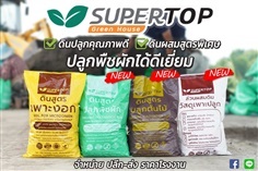 ดินปลูกผัก ดินปลูกต้นไม้ ดิน SUPERTOP จากโรงดินSUPERTOP | โรงดิน SUPERTOP - พัฒนานิคม ลพบุรี