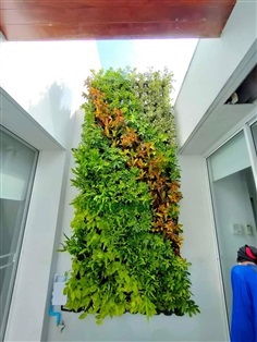 สวนแนวตั้ง | สวนแนวต้้ง iGreenwall - ทุ่งครุ กรุงเทพมหานคร