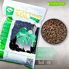 หินภูเขาไฟ (Pumice) ไซส์ 01 | ห้างหุ้นส่วนจำกัด เฟอร์ทิไลซ์ปุ๋ยไทย - เมืองขอนแก่น ขอนแก่น