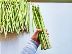 fresh asparagus 