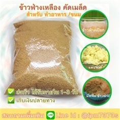 ข้าวฟ่างเหลือง คัดเมล็ด ข้าวฟ่างสำหรับทำขนม ข้าวฟ่างทำอาหาร