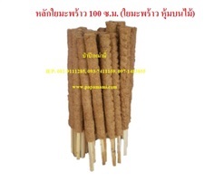 เสาใยมะพร้าว ยาว 100ซม. หลักไม้เลื้อยใยมะพร้าว เสาไม้เลื้อย 