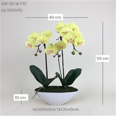 กระถางกล้วยไม้ประดิษฐ์ AM-10-W F13