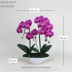 กระถางกล้วยไม้ประดิษฐ์ AM-10-W F17