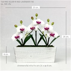 กระถางกล้วยไม้ประดิษฐ์ T16-MXC-61209-N F36