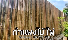 กำแพงไม้ไผ่ สูง 5 เมตร