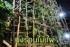 นั่งร้านไม้ไผ่