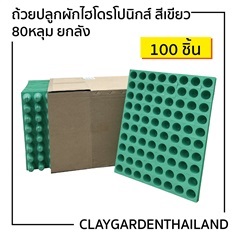 ถาดเพาะ ยกลัง 100ชิ้น ถ้วยปลูกผักไฮโดรโปนิกส์ A+ สีเขียว