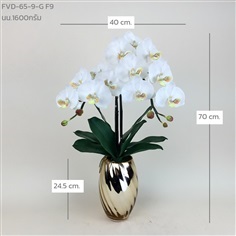 แจกันกล้วยไม้ฟาแลน FVD-65-9-G F9