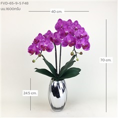 แจกันกล้วยไม้ฟาแลน FVD-65-9-S F48